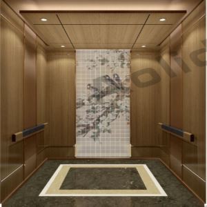 Rose Gold Mirror Silk Σχέδιο Επιβατών Ασανσέρ