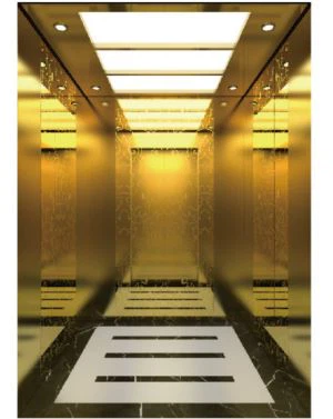 Titanium Gold Mirror Etching MRL Ασανσέρ επιβατών